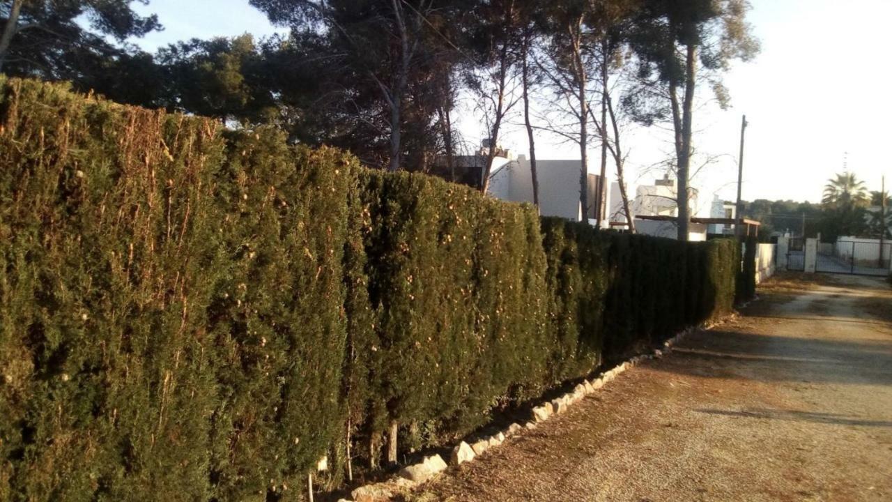 Pinomar Appartement Teulada Buitenkant foto