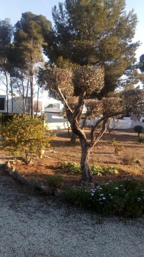 Pinomar Appartement Teulada Buitenkant foto