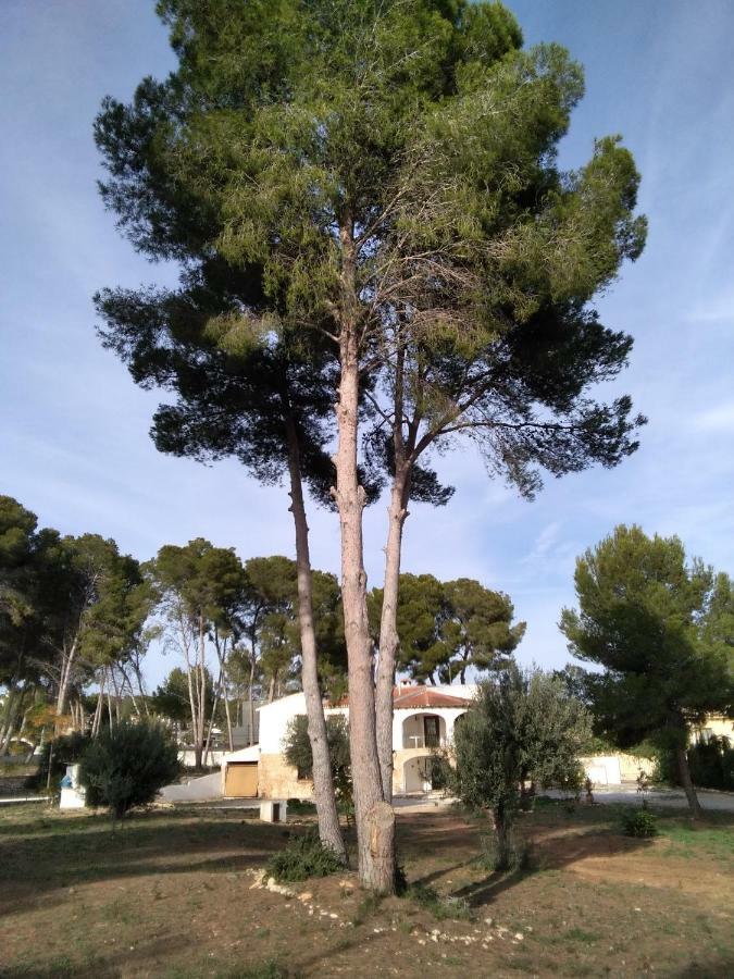 Pinomar Appartement Teulada Buitenkant foto